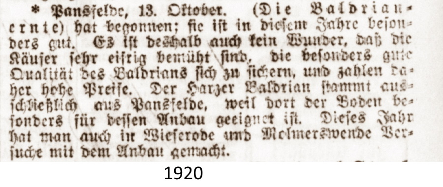 Hallische_Nachrichten_14_10_1920