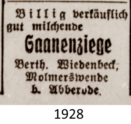 Saale-Zeitung_05_09_1928