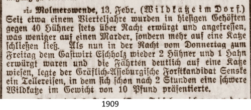 Saale-Zeitung_15_02_1909